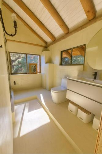 a bathroom with a toilet and a sink at Beachfront house for 20 people in Vichuquén Lake