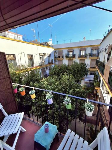 Roberta's Guest House