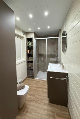 a bathroom with a toilet and a sink and a shower at B&B Sint Andries in Koewacht