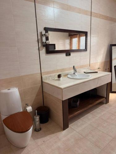 a bathroom with a sink and a toilet and a mirror at Murdeira Villa with Private Pool V164 by RPG Group in Beirona