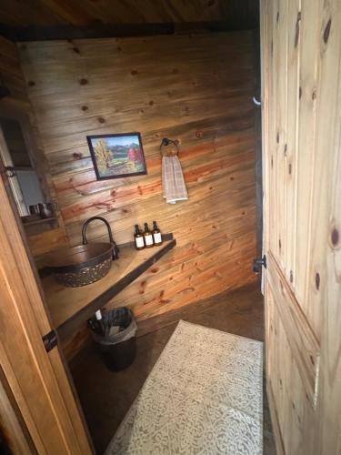 Koupelna v ubytování The Lion's Den