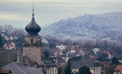 Afbeelding uit fotogalerij van L'Atelier des Tropiques in Saverne