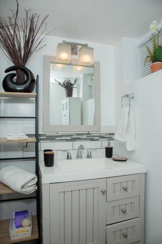 a bathroom with a sink and a mirror at One-bedroom guest suite with private entry in Winnipeg