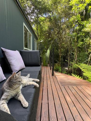 Un gato acostado en un sofá en una terraza. en Tui Bush Chalet, en Parakakau