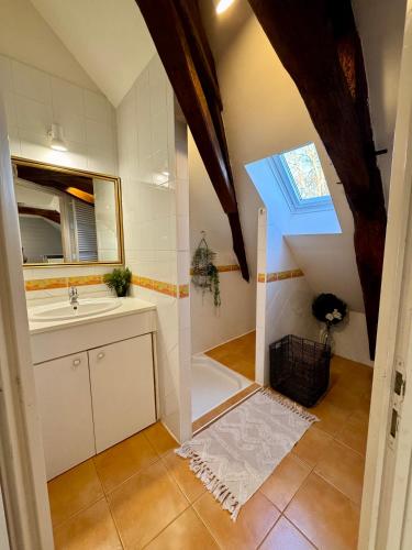 a bathroom with a sink and a mirror at Le grand Brandonné in Loiré