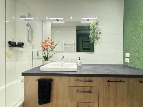 un bagno con lavandino e specchio di Evasion Douce Désign a Prénatier