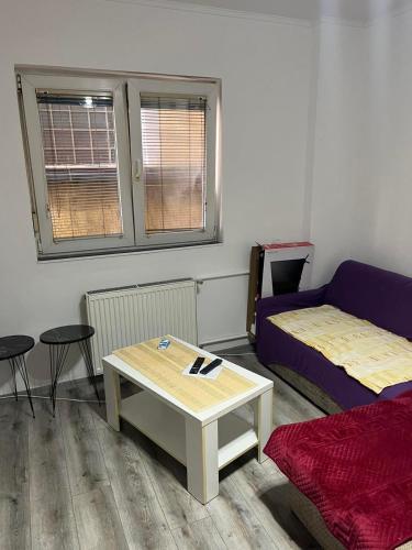 a living room with a couch and a coffee table at Apartman Jovanović in Belgrade
