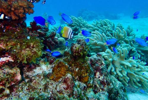 Naturlandschaft in der Nähe des Privatzimmers