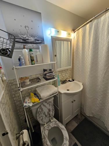 Et badeværelse på Clientele