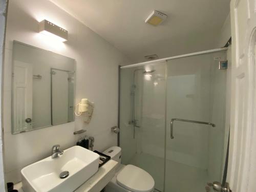 a bathroom with a shower and a sink and a toilet at Eco Hotel in Hanoi