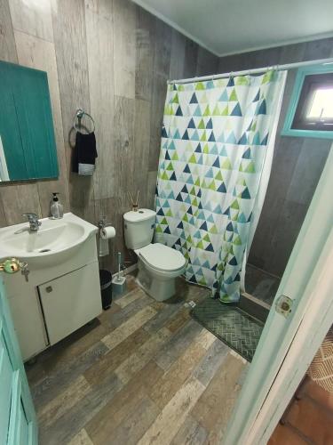 a bathroom with a sink and a toilet and a shower at Kramm House Aldea 47 in Coihaique