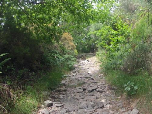Φυσικό τοπίο κοντά σε αυτό το διαμέρισμα