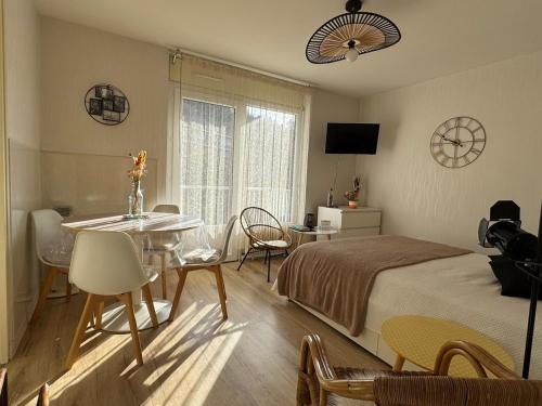 Grand studio lumineux avec balcon et WiFi, résidence avec piscine - FR-1-555-122