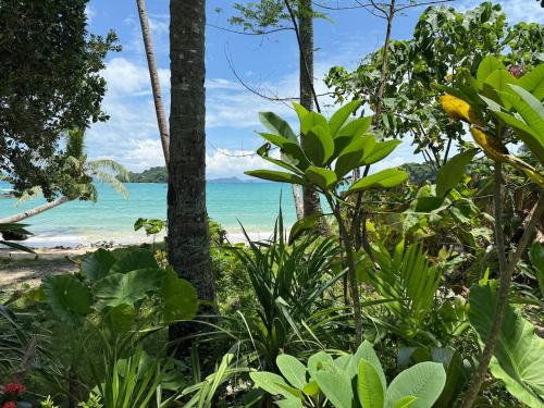 Φωτογραφία από το άλμπουμ του BAIA Tropical σε San Vicente