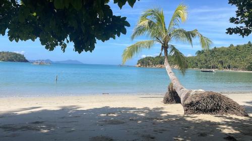 Φωτογραφία από το άλμπουμ του BAIA Tropical σε San Vicente