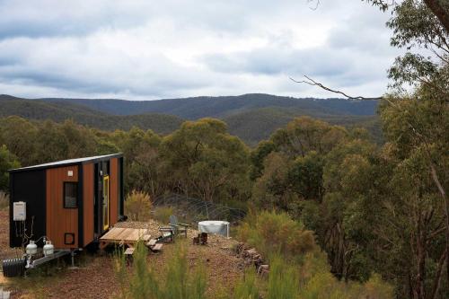 una casita en medio de un bosque en The Bunjil by Tiny Away, en Steels Creek