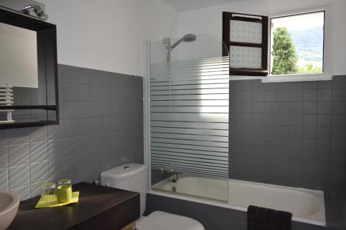 a bathroom with a shower and a toilet and a sink at Appartement Le 510 in Aigueblanche