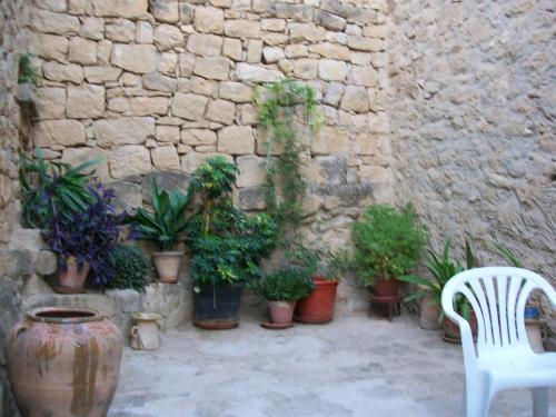 a bunch of potted plants in front of a stone wall at Casa de la Musica in Calaceite