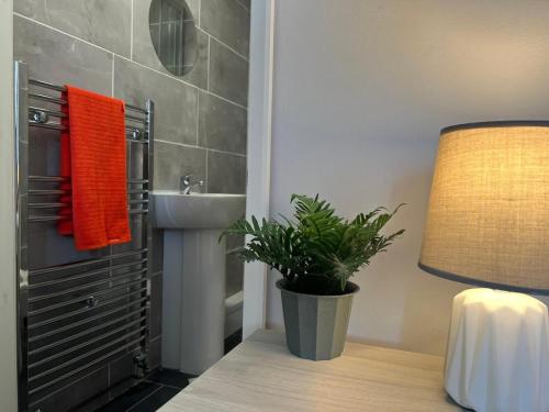 ein Badezimmer mit einem Waschbecken, einer Lampe und einer Pflanze in der Unterkunft Rare 4 en-suite Bedroom Flat with Free Parking and workspace in Warwick