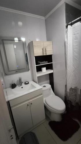 a bathroom with a toilet and a sink and a mirror at Casa Agustina in Valdivia