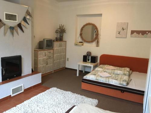 ein Schlafzimmer mit einem Bett und einem TV. in der Unterkunft Apartmánový Dom Králiky in Králiky