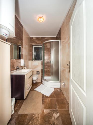 a bathroom with a shower and a toilet and a sink at Apartments The Old Well in Gornji Vaganac