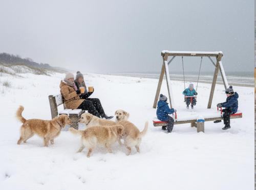 Newly Refreshed Family Retreat in Zoutelande في زوتلاند: مجموعة من الأشخاص يجلسون على أرجوحة في الثلج