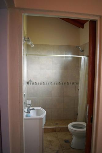 a bathroom with a toilet and a sink at Complejo Ruca Anay (Casa de amigos) in San José