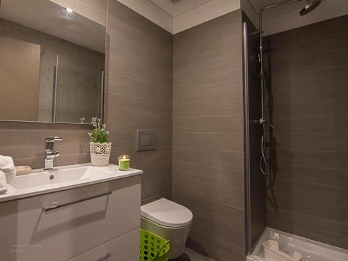 アヴェイロにあるS. Gonçalinho - Suites Apartmentsのバスルーム(洗面台、トイレ、シャワー付)