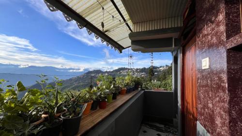 einen Balkon mit einem Haufen Topfpflanzen in der Unterkunft Gangamaya Homestay Darjeeling in Darjeeling