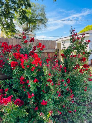 a garden of red flowers in front of a fence at Garden Cottage in Langley