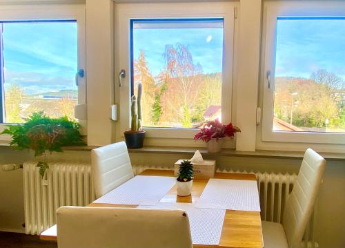 Billede fra billedgalleriet på Traumhaftes Apartment mit Dachterrasse und Schlossblick i Marburg an der Lahn