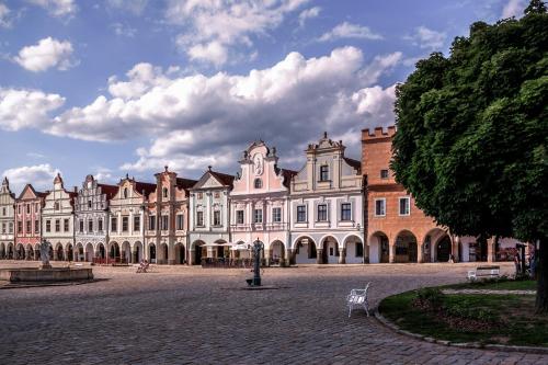 a large building in a courtyard with a tree at Apartmany Chornitzeruv dum in Telč