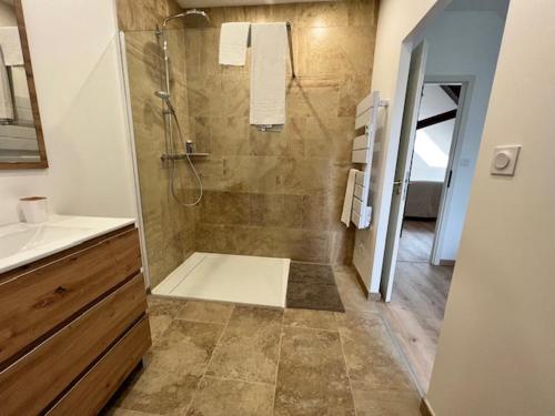 een badkamer met een douche en een wastafel bij Domaine de Val combe in Dole