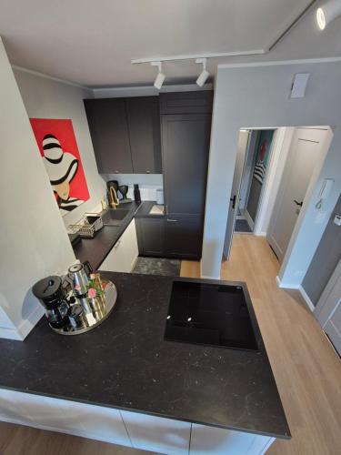 Η κουζίνα ή μικρή κουζίνα στο Apartament Leśne Zacisze