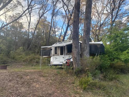 an rv parked in the woods next to trees at Onsite van in Medlow Bath in Medlow Bath