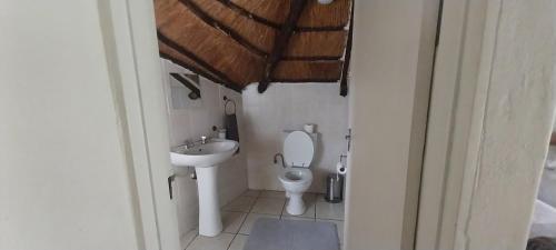 Lama Lama Game Reserve في Mount Hope: حمام صغير مع مرحاض ومغسلة