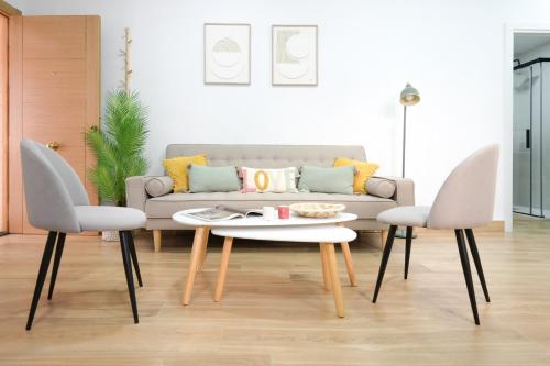 Optimum Triana Estudio