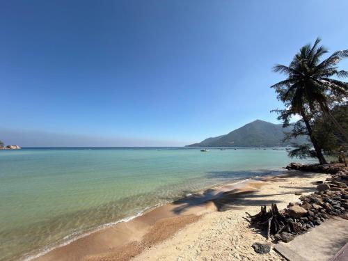 Naturlandskabet i nærheden af lejligheden