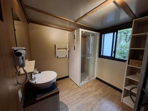un bagno con un lavandino e un water al suo interno di Chalet au bois tranquille a Saint-André-de-Double
