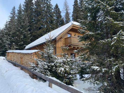 a log cabin in the woods in the snow at Almhütte-Flattnitz in Flattnitz