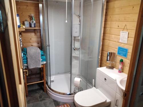 a bathroom with a shower and a toilet and a sink at Moonlight View in Newtown