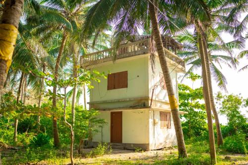 an old house in the middle of palm trees at Thapovanam Veedu in Allaippiddi