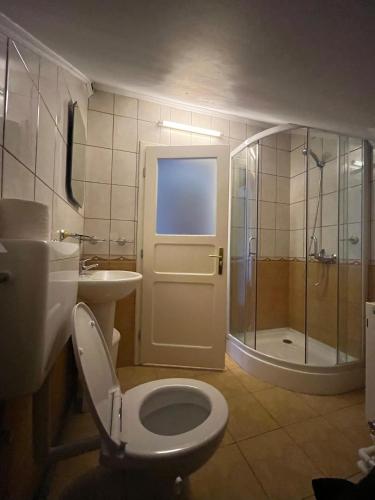 a bathroom with a toilet and a sink and a shower at Conacul Maria in Ocna-Mureşului