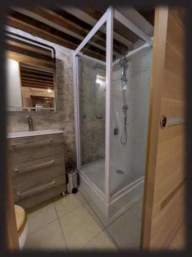 a bathroom with a shower and a sink at Le Mas des Condamines in Canet