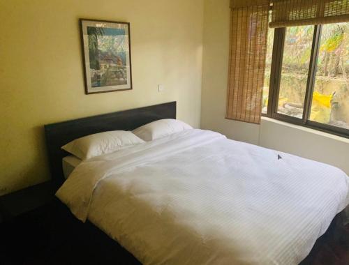 Cama o camas de una habitación en Blissful Boudha Apartment