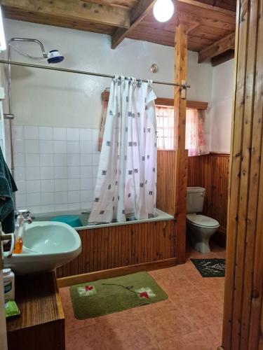 a bathroom with a shower and a sink and a toilet at Kitengela Farmhouse in Nairobi