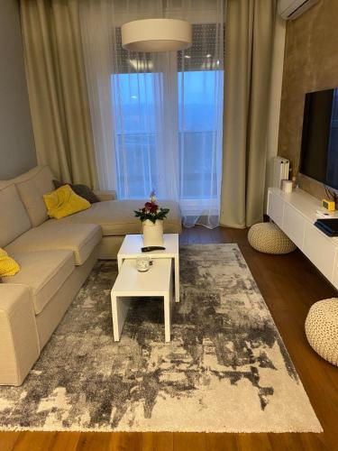 Billede fra billedgalleriet på Apartman V i Belgrade