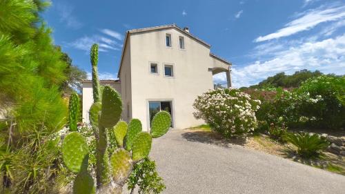ein weißes Haus mit einem Kaktus davor in der Unterkunft Villa 300m2 piscine chauffée et jacuzzi-spa de nage in 