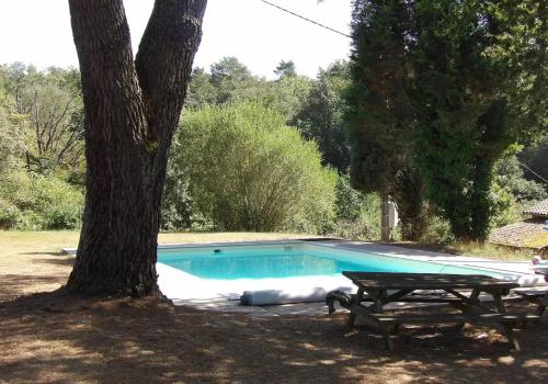 una piscina con un tavolo da picnic accanto a un albero di Spacieuse maison avec piscine partagée à Razès a Razès